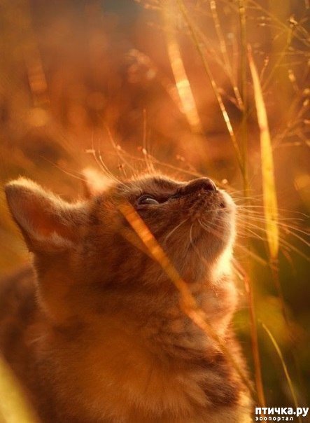 ���� 1: � ����� ��������.