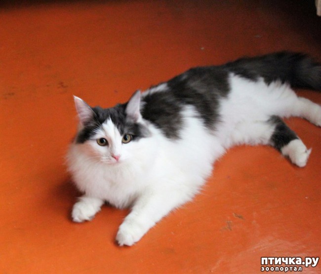 ���� 8: �����, ������� �� ����