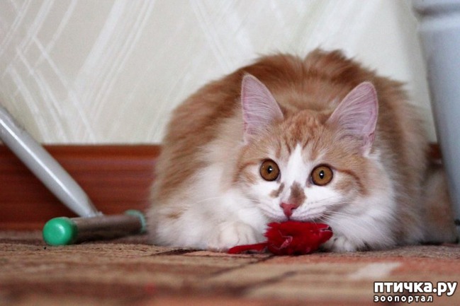 ���� 9: �����, ������� �� ����