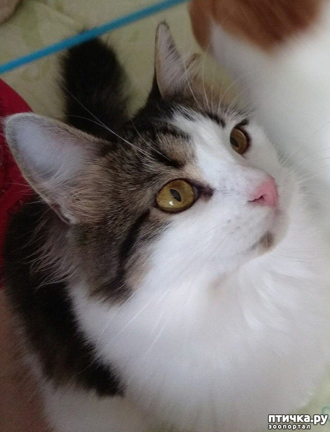 ���� 10: �����, ������� �� ����