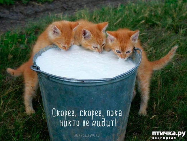 ���� 2: �����������: �����-�����!