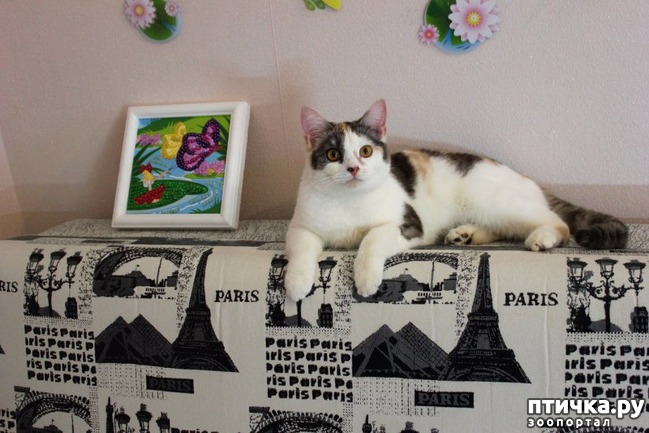 ���� 11: �����, ������� �� ����