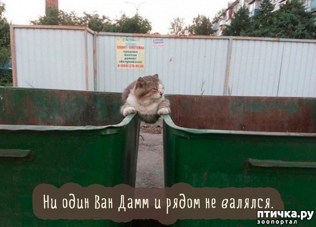 ���� 5: �����������: �����-�����!