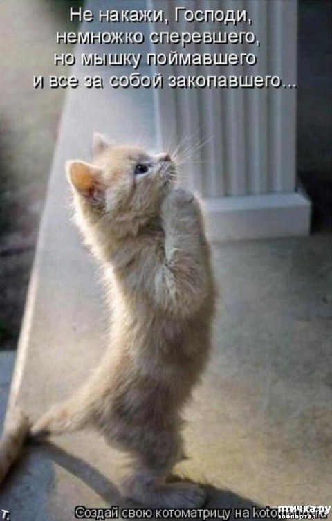 ���� 7: �����������: �����-�����!