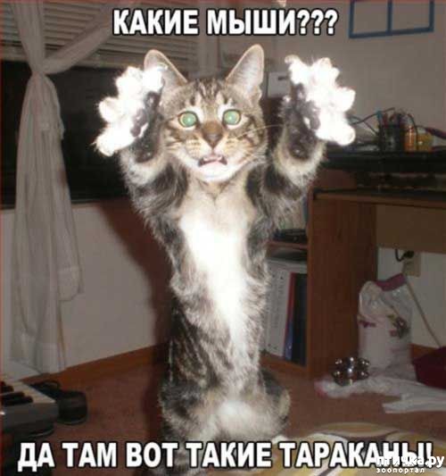 ���� 9: �����������: �����-�����!