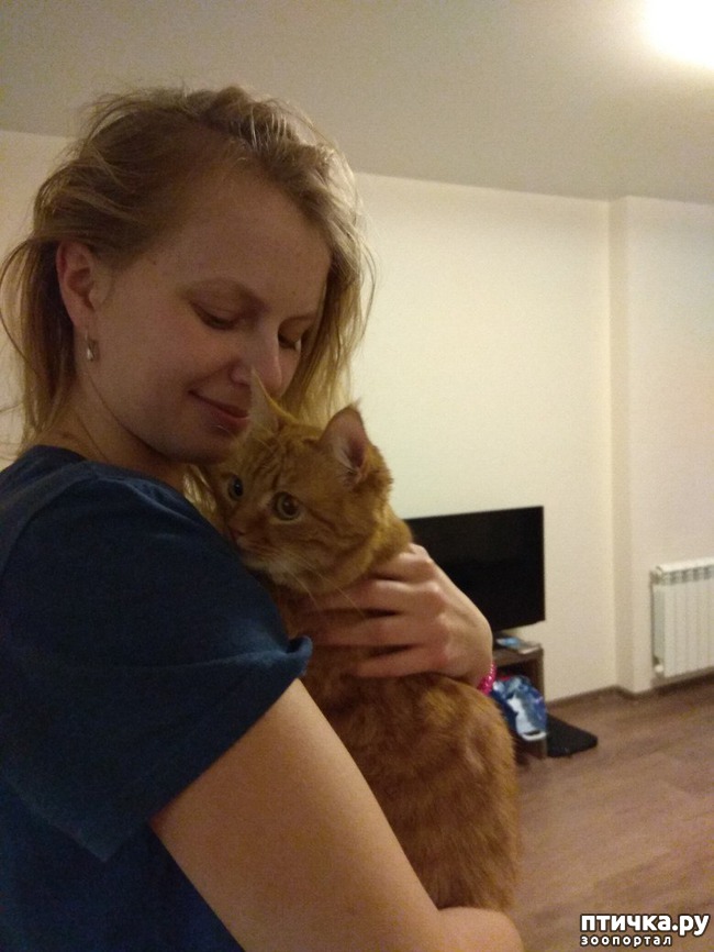 ���� 12: �����, ������� �� ����