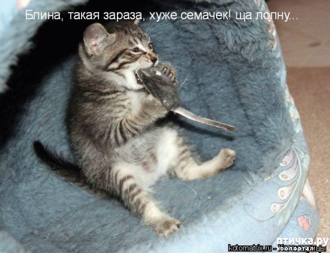 ���� 10: �����������: �����-�����!