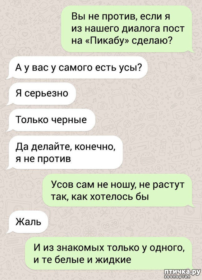  5:   ))
