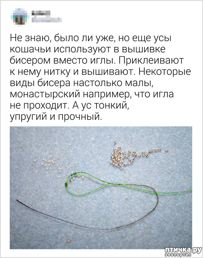  10:   ))