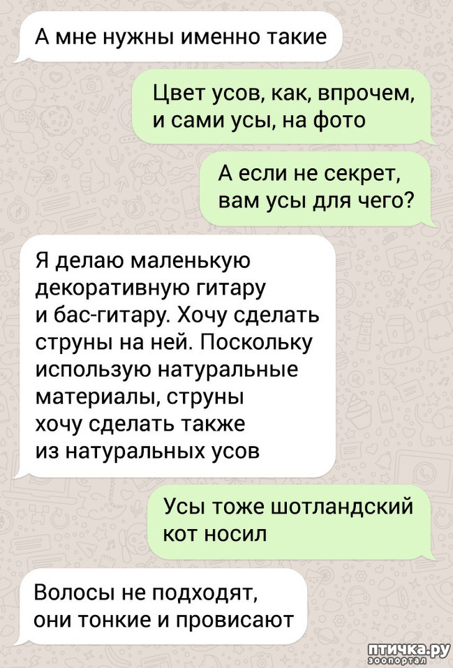  3:   ))