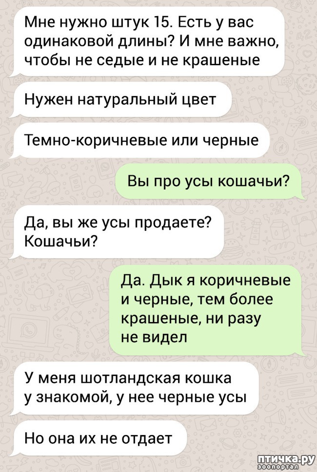  2:   ))