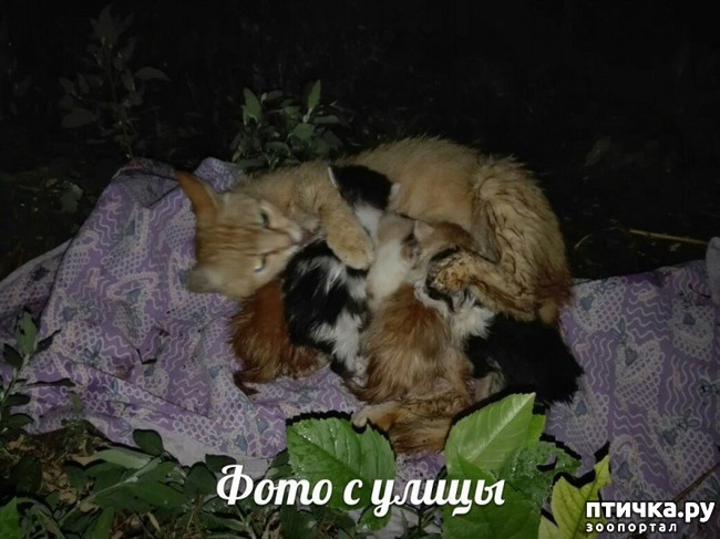 ���� 1: �����, ������� �� ����