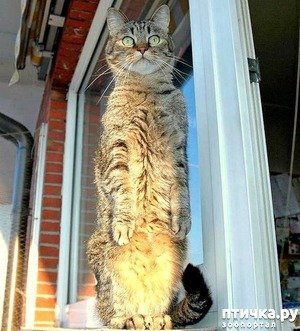 ����: ������� ������