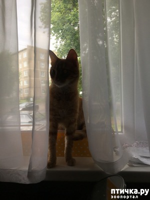 ����: ����� ��� ������ ������� (����-���������������)