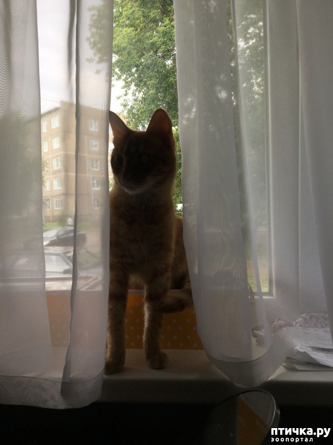 ���� 1: ����� ��� ������ ������� (����-���������������)