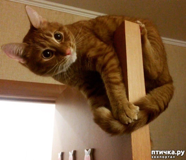 ���� 2: ����� ��� ������ ������� (����-���������������)