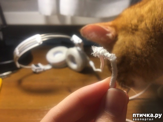 ���� 3: ����� ��� ������ ������� (����-���������������)