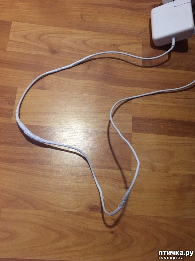 ���� 4: ����� ��� ������ ������� (����-���������������)