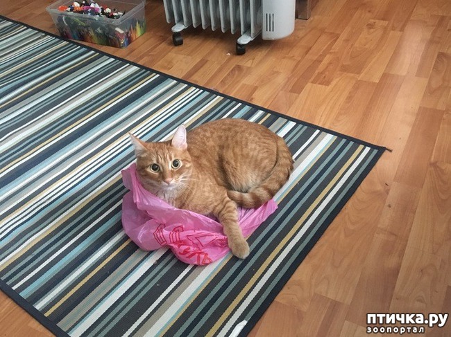 ���� 5: ����� ��� ������ ������� (����-���������������)