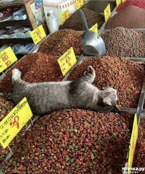 ���� 1: ������� ���