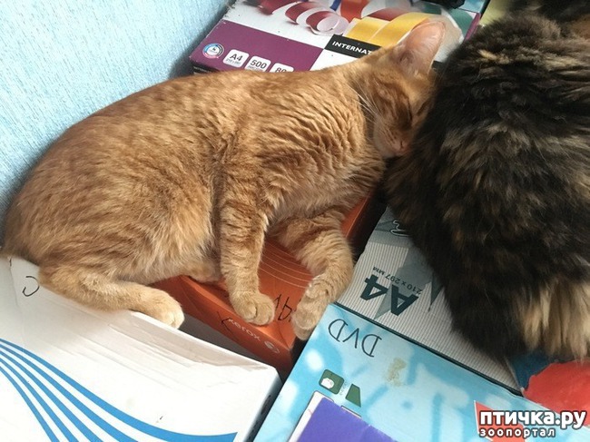 ���� 6: ����� ��� ������ ������� (����-���������������)