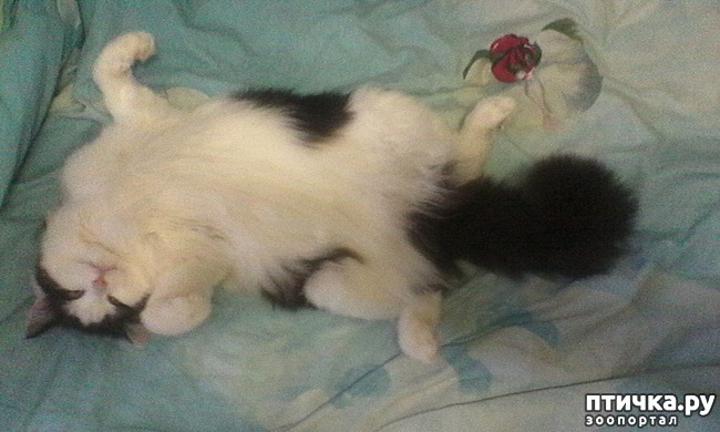 ���� 2: ����, ���� ���������...