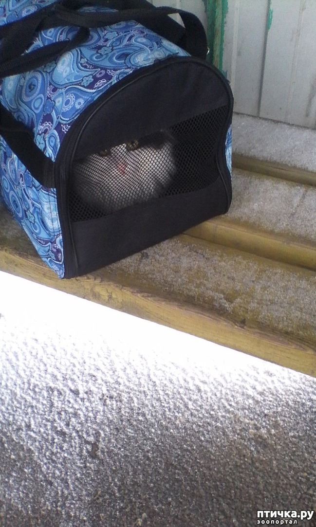 ���� 3: ����, ���� ���������...