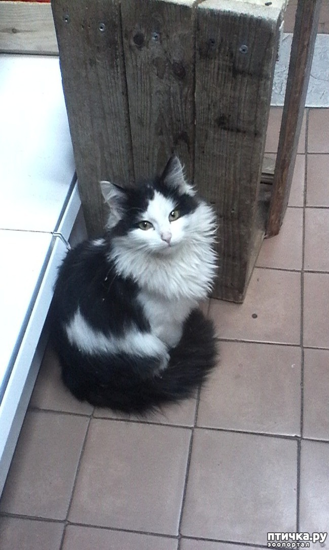 ���� 4: ����, ���� ���������...