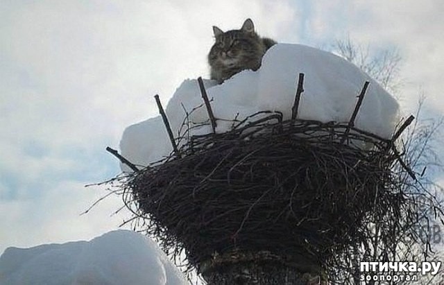 ���� 1: ������ ����