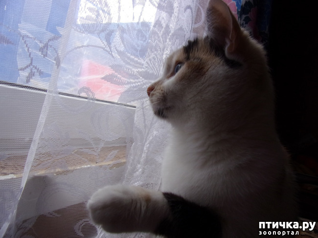 ���� 1: ���������.