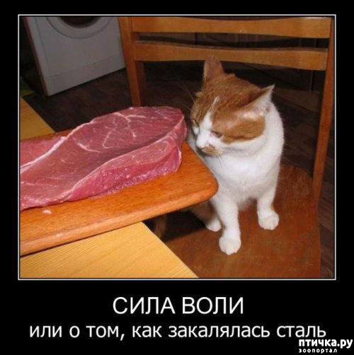 ���� 6: �������� � ���������� �����