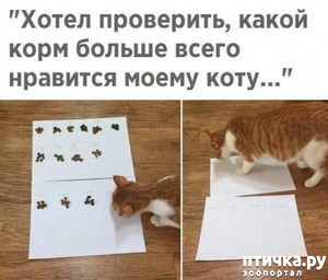 ����: �������� � ���������� �����