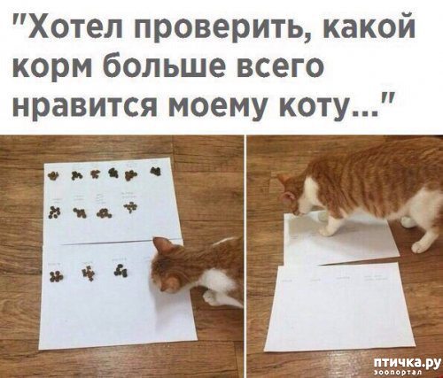 ���� 1: �������� � ���������� �����