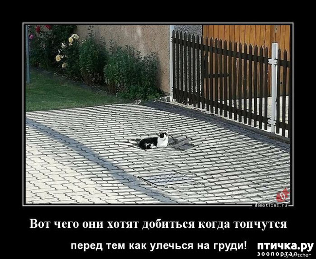 ���� 5: �������� � ���������� �����