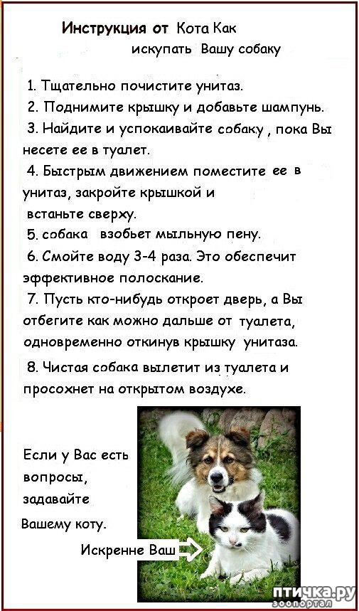 ���� 2: �������� � ���������� �����