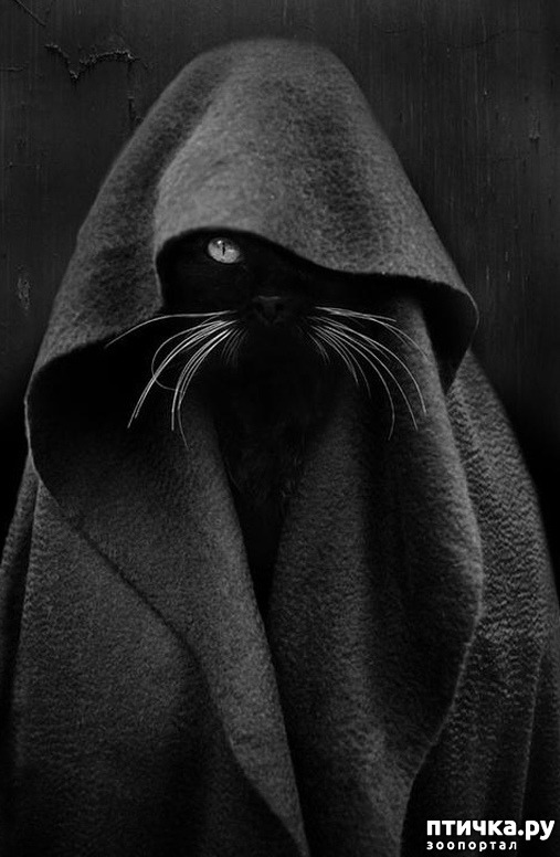 ���� 4: �������� � ���������� �����