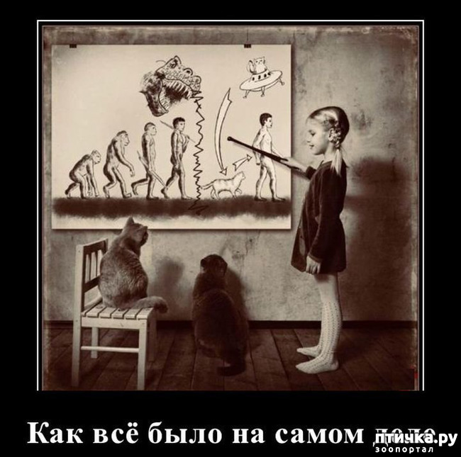 ���� 3: �������� � ���������� �����