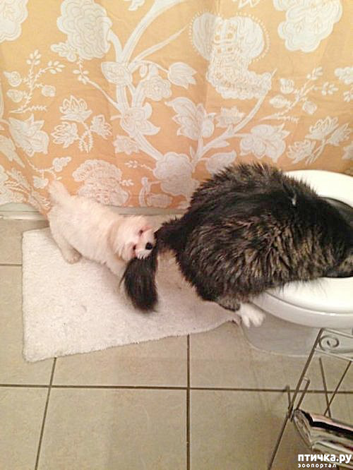 ���� 8: �������� � ���������� �����