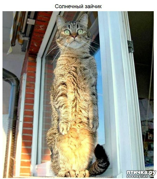 ���� 7: �������� � ���������� �����