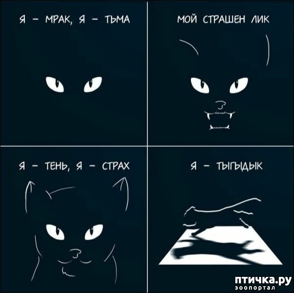 ���� 9: �������� � ���������� �����