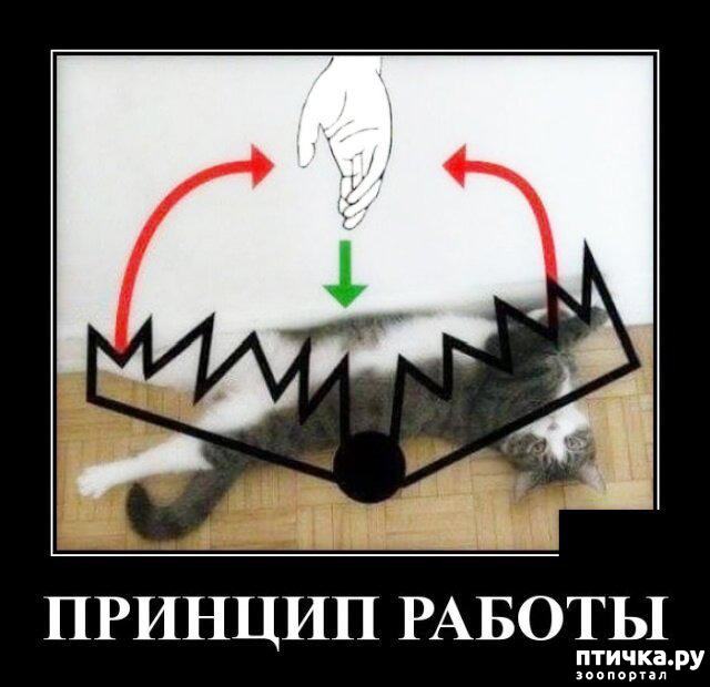 ���� 13: �������� � ���������� �����