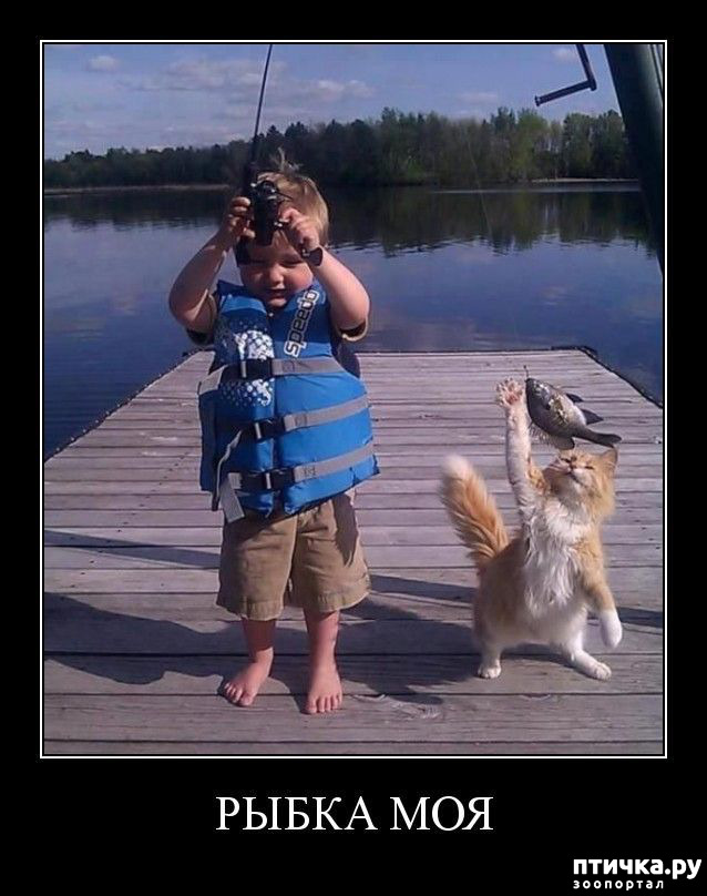 ���� 16: �������� � ���������� �����