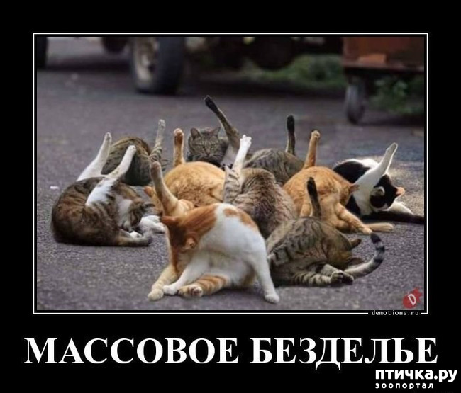 ���� 15: �������� � ���������� �����