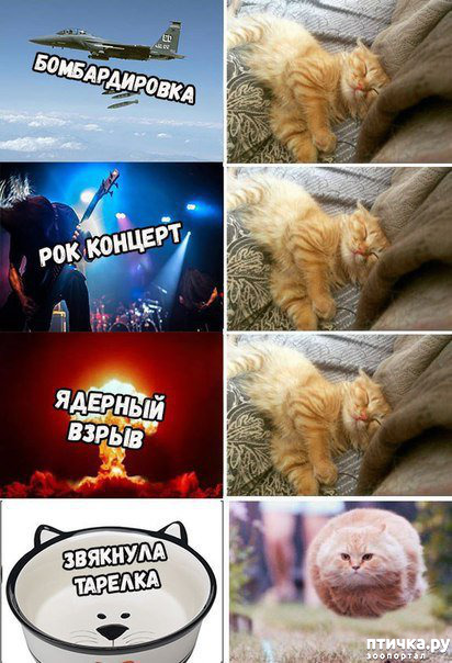 ���� 10: �������� � ���������� �����