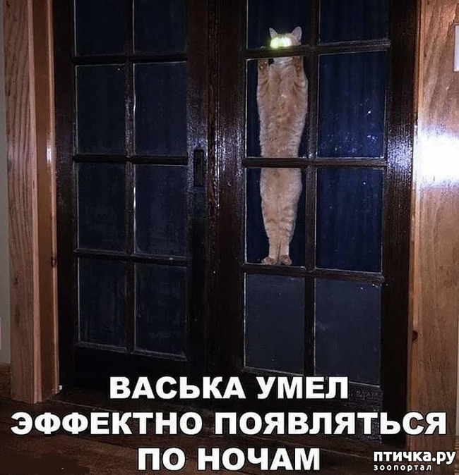 ���� 11: �������� � ���������� �����