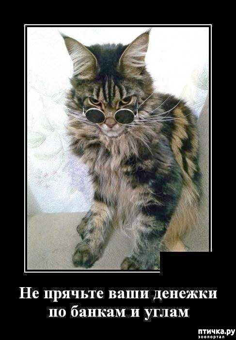 ���� 17: �������� � ���������� �����