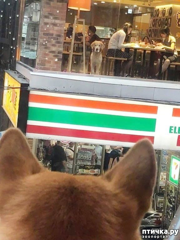 ���� 14: �������� � ���������� �����