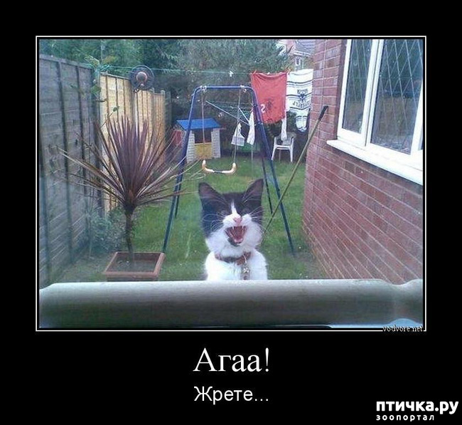 ���� 18: �������� � ���������� �����