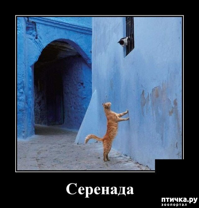 ���� 20: �������� � ���������� �����