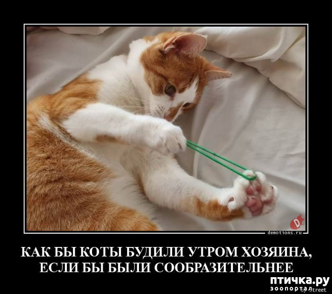 ���� 19: �������� � ���������� �����